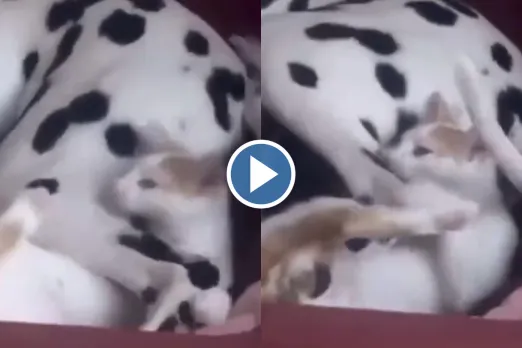 Viral video