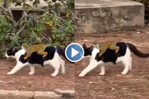 Viral video