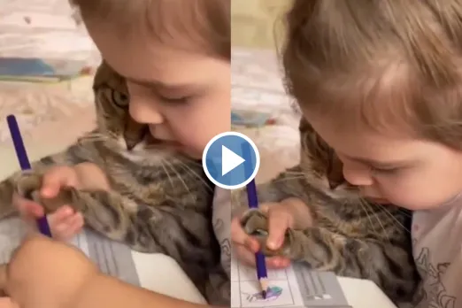 Viral Video