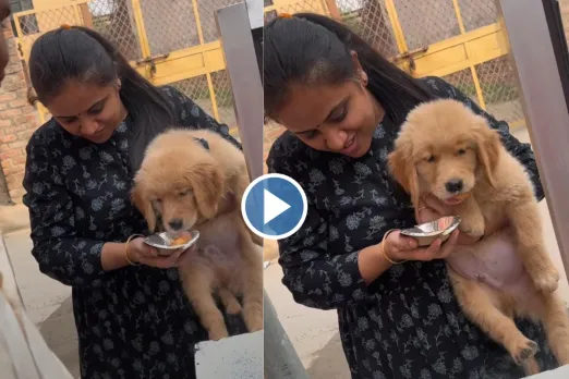Viral video