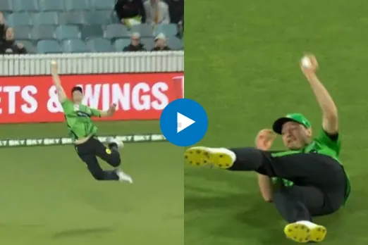 Cricket Viral Video