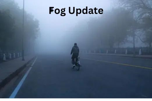 Fog Update