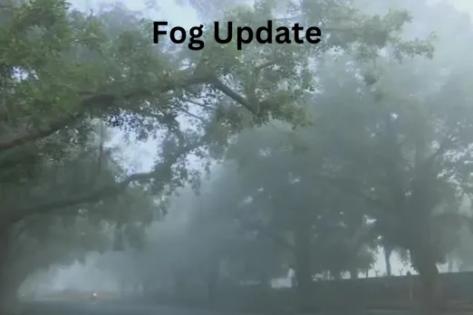 Fog Update