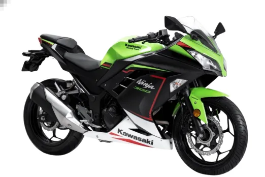 Kawasaki Ninja 300