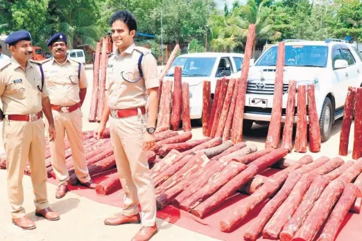 Andhra Pradesh Task Force
