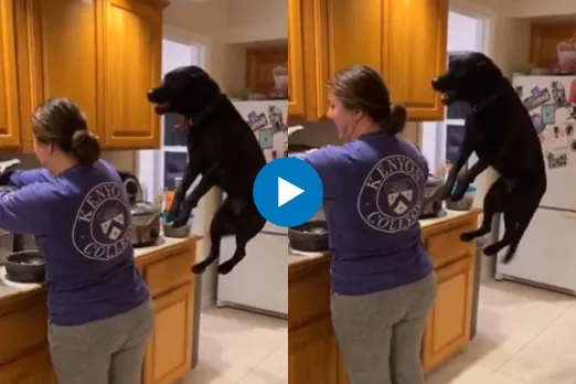 Viral Video