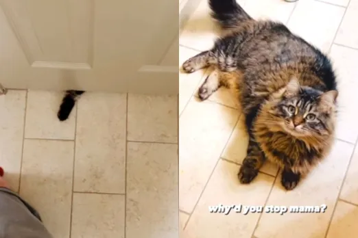 Viral Video