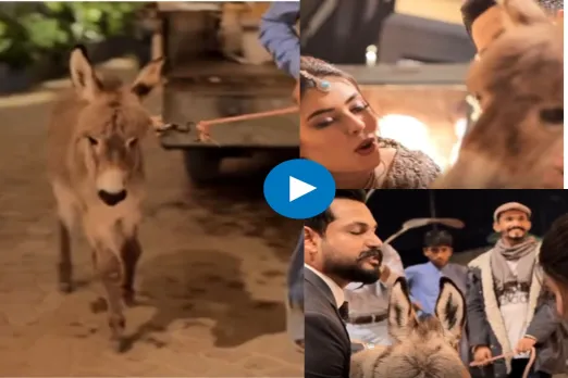 Bride Groom Viral Video
