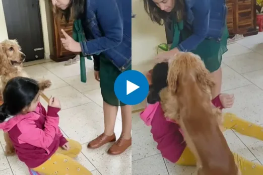 Viral Video
