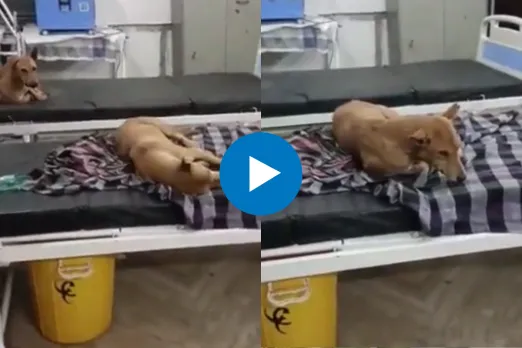 Viral Video