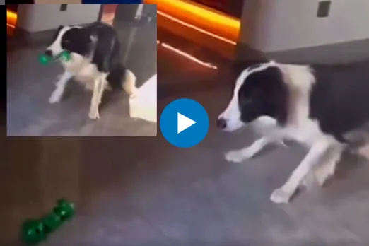 Viral Video