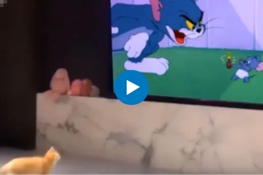 Viral Videos