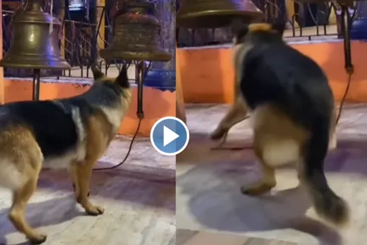 Viral video