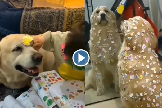 Viral video