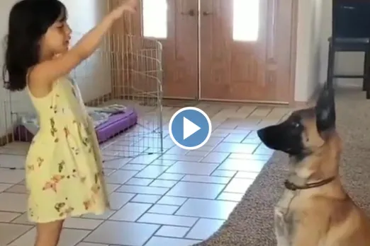 Viral video