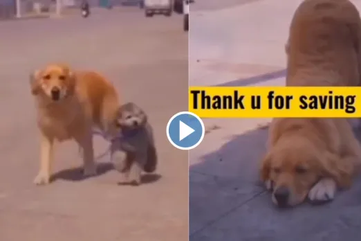 Viral video