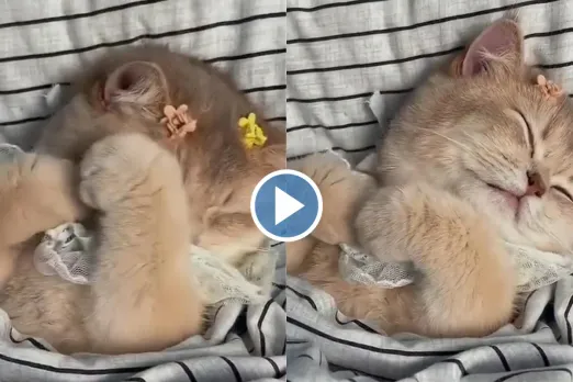 Viral video