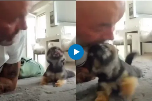 Viral video