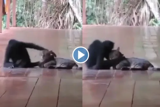 Viral video