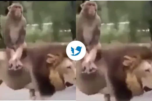 Viral video