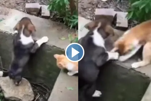 Viral video