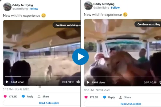 Viral video