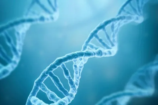 Imbalanced genes