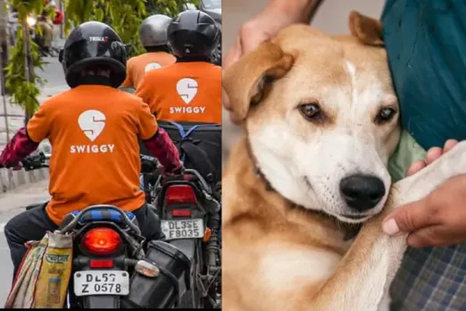 Dogs and Cats Are Not Human