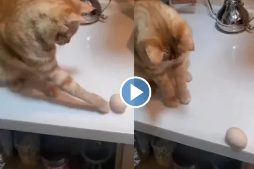 Viral video