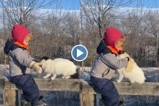 Viral video