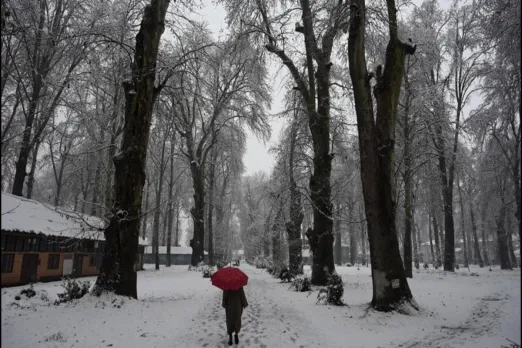 Snowfall Update