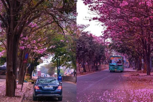 Viral Photo