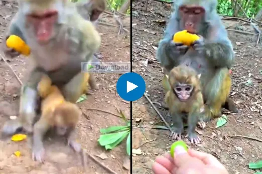 Viral Video