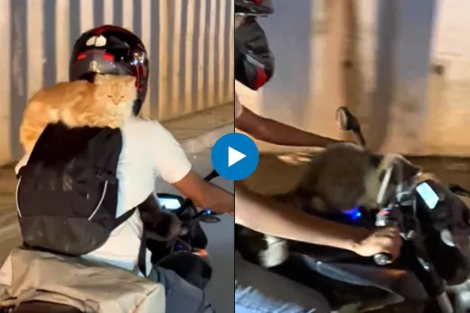Viral Video