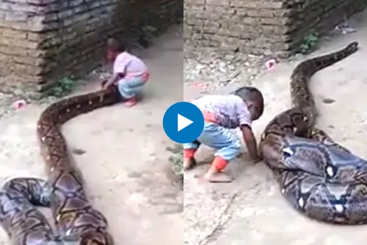 Viral Video