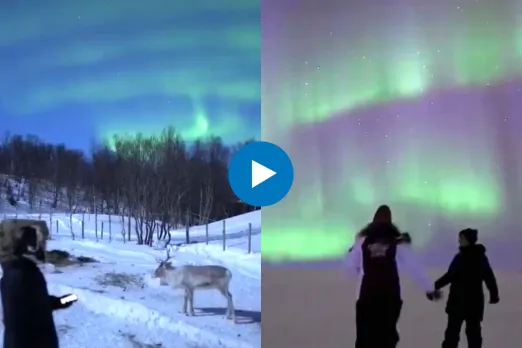 Viral Video