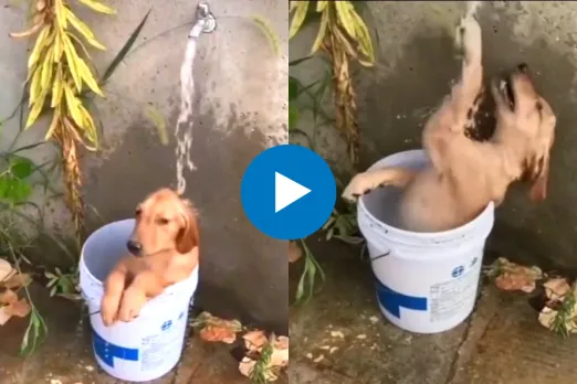 Viral Video