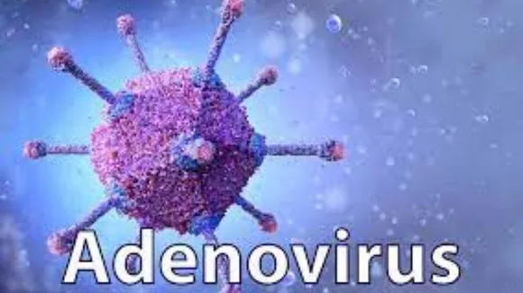 Adenovirus