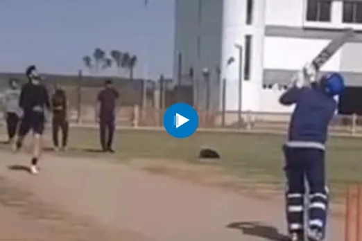 Cricket Viral Video