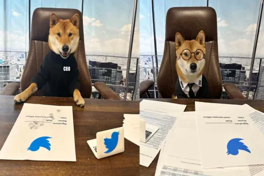 Musk names his pet Floki as new CEO of Twitter, pokes fun at Parag Agrawal