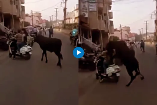Viral Video