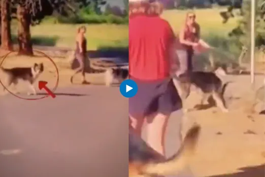 Viral Video