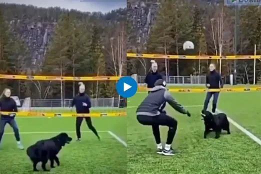 Viral Video