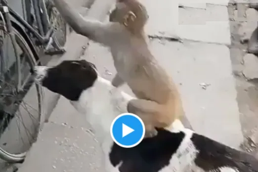 Viral Video