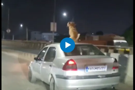 Viral Video