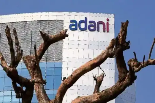 Adani Hindenburg Row
