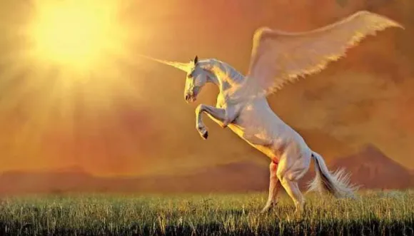 Unicorn