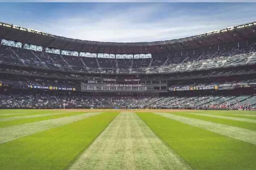 Cricket stadium
