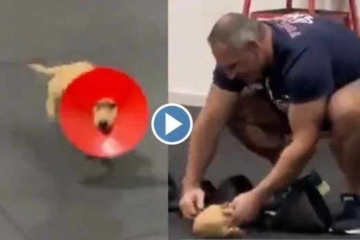 Viral video