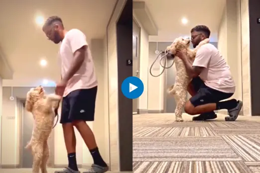 Viral Video
